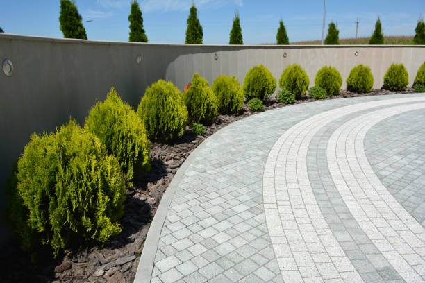 Best Concrete Paver Driveway  in Magnolia, NJ